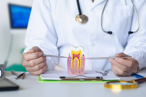 Best Emergency Treatment for Toothache in Teague, TX